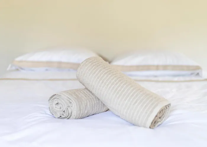 Daire Grand 4 Centre Arenes A Pied 8 Pers *